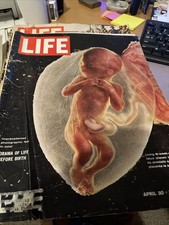 Vintage Life Magazine April 30 1965 Drama Of Life Before Birth picture