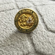 Vintage Grand Council of Columbia Associations Civil Service Lapel Pin Gold Tone picture