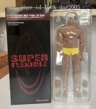 TBLeague Phicen M35 Super-Flexible Male Seamless Muscular Body 1/6 picture