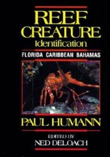 Reef Creature Identification: Florida Caribbean Bahamas - Plastic Comb - GOOD picture
