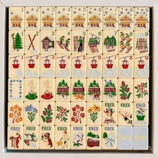 Light Blue Ski Themed Acrylic American Mahjong Set Hand Play Leisure Game picture