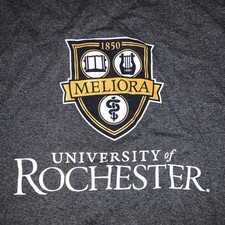 Rare Champion Grey University of Rochester Long Sleeve Sweater “Meliora” Logo picture