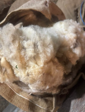 30LB Wool / Spinning Felting Natural Corriedale Sheep / Lamb Fiber Raw picture