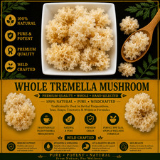 Whole Tremella Mushroom Snow Fungus Tremella fuciformis Premium Dried Bai Mu Er picture