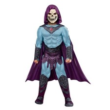 Rubies at Party City Masters Of The Universe Medium, Blue, Purple, Silver picture