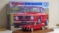 Tamiya 1/24 original finished product with alpha stage picture
