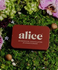 Alice Mushroom Chocolates Happy Ending For The Bedroom Stimulating Chocolates picture