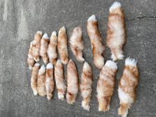 One ( 1 ) Beautiful, LARGE, Cinnamon Ranch RED FOX Tails, with key chain, differ picture