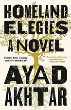 Homeland Elegies picture
