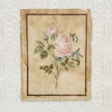 Antique Pink Roses Watercolor Painting On Paper Shabby Brocante Style picture
