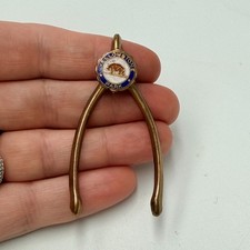 Vintage Yellowstone National Park Bison Lapel Pin Lucky Wishbone Travel Souvenir picture