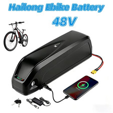 48V 15-25Ah Large Capacity Battery For 200-1500W Motor Battery  picture