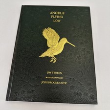 Angels Flying Low Signed by Jim Tebben/Josh Cote-Maple Brook Press picture