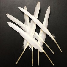 White Feathers 10-12in,30PCS Natural Long Goose Feather,Bulk Left and Right Wing picture