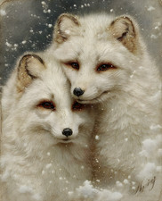 Arctic Fox Pair in Snow with Muted Gold and Taupe Tones Print - 567796214 picture