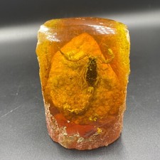 Beautiful Genuine Rare Find Baltic phenolic Amber With Scorpion Inside picture