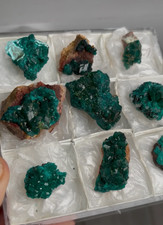 Rich Green Dioptase Specimens from Renéville, Congo – 9 Piece Lot picture