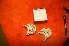 NOS Continental Motors L head connecting rod bearings set 4 .020 over F162 F163 picture