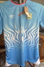Democratic Republic Of The Congo 🇨🇩Soccer/ Football Jersey 2026 Blue picture
