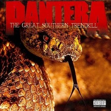 Pantera The Great Southern Trendkill Tapestry 4x4 ft Album Cover Art Banner Flag picture