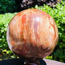 7.48LB Large Natural Petrified Wood Agate Sphere Crystal Healing Specimen 5676 picture