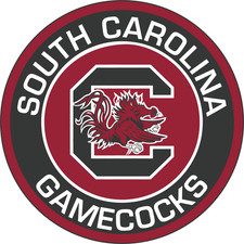 South Carolina Gamecocks 3