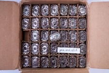 IN-12B Nixie Tubes NEW TESTED NOS xUSSR Excellent Condition 6 PCS SET picture
