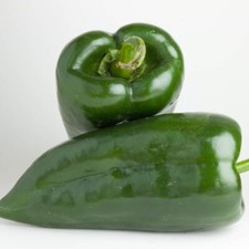 Poblano Pepper Seeds | Heirloom / Non-GMO |  | Seed Store | 1011 picture