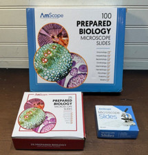 NEW AmScope 100 & 25 PC Prepared Biological Microscope Glass Slides + blanks picture