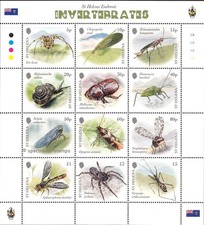 St Helena 2026 Insects Endemic Invertebrates picture