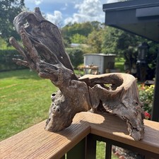 Gnarly Hollow Driftwood 12x10x11 – Natural Aquarium & Terrarium Aquascape Decor picture