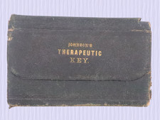 Rare 1874 Therapeutic Key Homeopathic Medical Book George Saylor MD Gilt Leather picture
