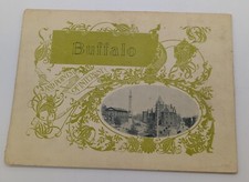 1896 Buffalo NY and Points of Interest Book Directory Illustrated w/ PHOTOGRAPHS picture