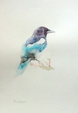 Magpie,  Birds, Watercolor artwork, Handmade, Original painting on paper picture