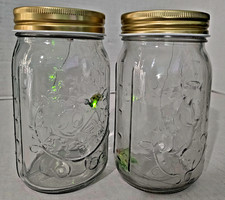 Lot Gemmy My Pet Firefly & My Pet Fairy Green Mason Jar Interactive Tested Works picture