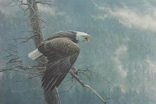 Robert Bateman THE AIR, THE FOREST & THE WATCH Signed And Numbered 23