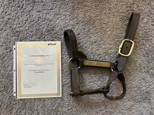 Fort Larned 2012 Breeders Cup Classic & Travers Winner Worn Halter with COA picture