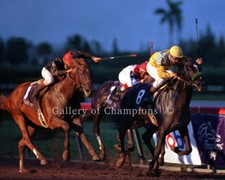 Sunday Silence 1989 Breeders' Cup Classic Photo 8