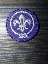 Scouting America Boy Scouts BSA World Crest Patch Brand New picture