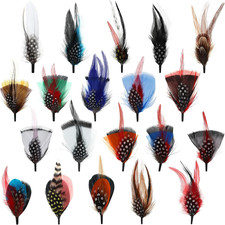 20 Pcs Hat Feathers for Men Women, Real Assorted, Classic Style picture