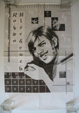 Robyn Hitchcock Groovy Decay 1982 Store Poster 20