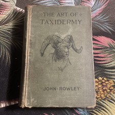 Antique 1916 The Art of Taxidermy By John Rowley picture