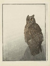 Walther Klemm Great Horned Owl 1912 German Expressionist Woodcut picture