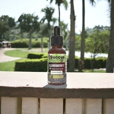 Elderberry Tincture - Herbal Support for Immune Wellness picture