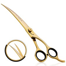 Regale Pro 9.5