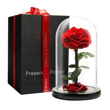 Preserved Rose in Glass Dome Eternal Enchanted Forever - Infinity Rose - picture