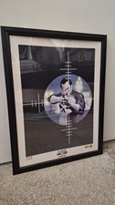 Dynamic Forces Alex Ross The Punisher Art Print Framed 18x24  picture