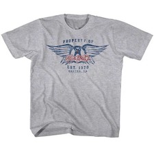 Aerosmith - EST. 1970 Youth Shirt picture