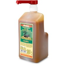 63 Fl Oz Caramel Sauce with Pump Rich Buttery Flavor for Coffee and Desserts picture
