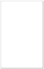 Cougar White 11 x 17 Lightweight Multi-use Smooth Paper 2000pk - 104 GSM picture